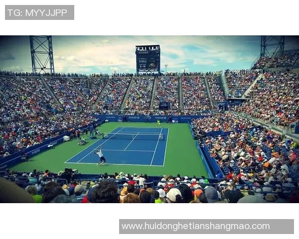 数据分析:西安网球队的速度表现